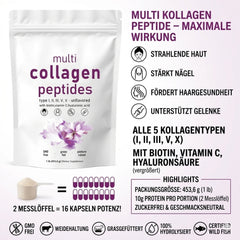 Multi Kollagen Peptide Pulver 453g – 5-Typen-Komplex mit Hyaluron, Biotin & Vitamin C